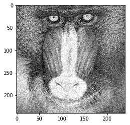 mandrill-240-b02-red.png