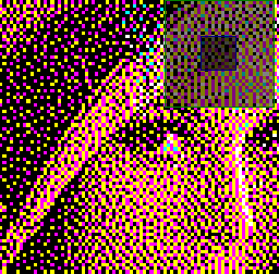 Zoom tramage CMYK