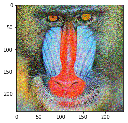mandrill-240-b02.png